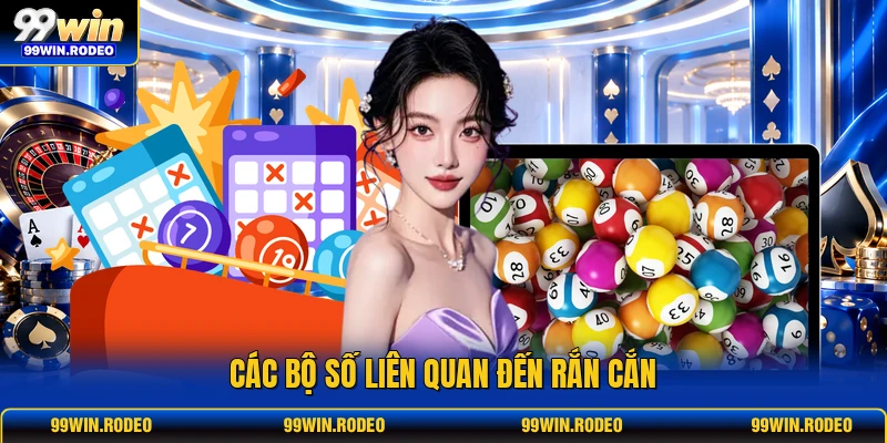 Các bộ số liên quan đến rắn cắn